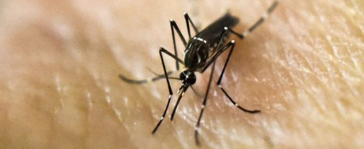 Nicaragua reporta 74 casos de virus zika